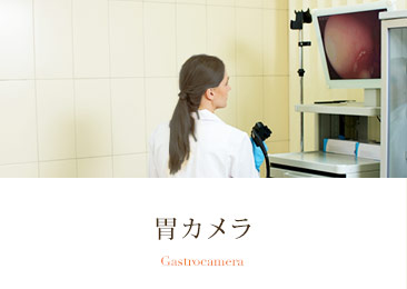 胃カメラ