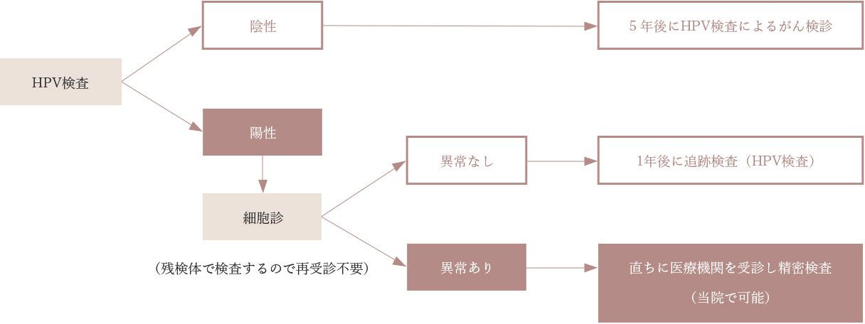HPV検査を行い、陰性の場合は5年後にHPV検査によるがん検診。陽性の場合は細胞診へ進み(残検体で検査するので再受診不要)、異常なしなら1年後に追跡検査(HPV検査)、異常ありなら直ちに医療機関を受診し精密検査(当院で可能)。
